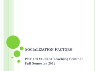 Socialization Factors