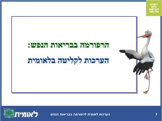 הרפורמה בבריאות הנפש: הערכות לקליטה בלאומית