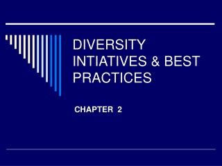 DIVERSITY INTIATIVES &amp; BEST PRACTICES