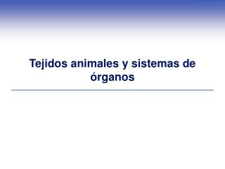 Tejidos animales y sistemas de órganos