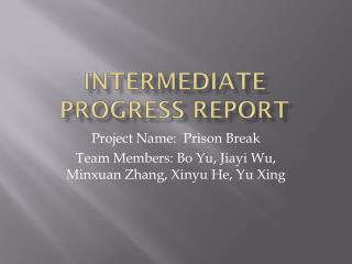 Intermediate progress report