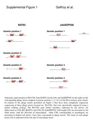 Supplemental Figure 1		Geffroy et al.