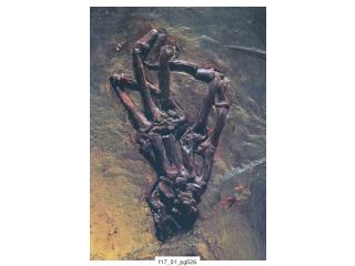 f17_01_pg526