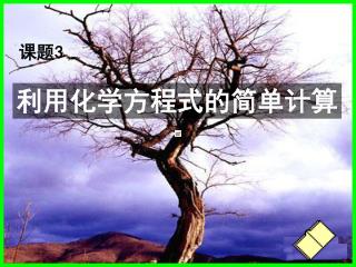 利用化学方程式的简单计算