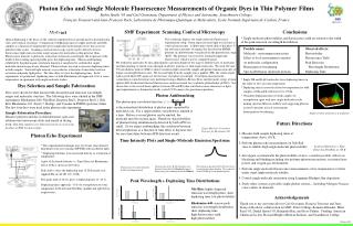 Photon Echo and Single Molecule Fluorescence Measurements of Organic Dyes in Thin Polymer Films