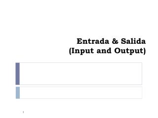 Entrada &amp; Salida (Input and Output)