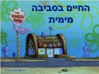החיים בסביבה מימית