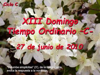 Ciclo C