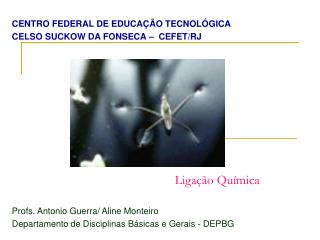 Ligação Química