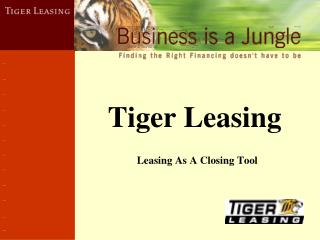 Tiger Leasing