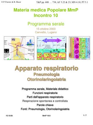 Apparato respiratorio Pneumologia Otorinolaringoiatria