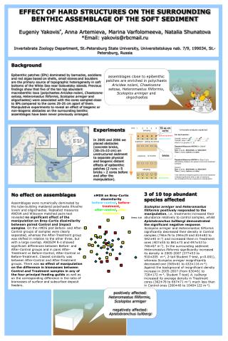 assemblages close to epibenthic patches are enriched in polychaets Aricidea nolani , Chaetozone