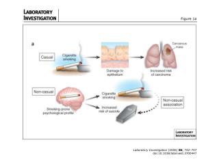 Figure 1a