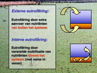Externe eutrofiëring: Eutrofiëring door extra aanvoer van nutriënten van buiten het systeem