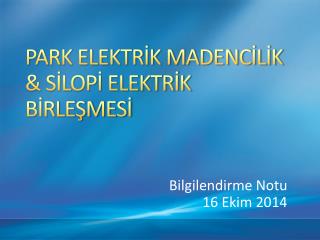 PARK ELEKTRİK MADENCİLİK &amp; SİLOPİ ELEKTRİK BİRLEŞMESİ