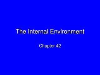 The Internal Environment