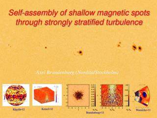 Self-assembly of shallow magnetic spots through strongly stratified turbulence