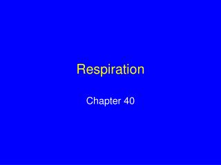 Respiration