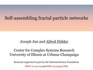 Self-assembling fractal particle networks