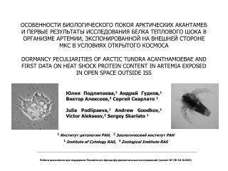 Юлия Подлипаева , 1 Андрей Гудков , 1 Виктор Алексеев, 2 Сергей Скарлато 1