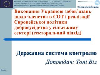 Державна система контролю Доповідач: Тоні Віл