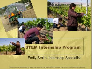 STEM Internship Program