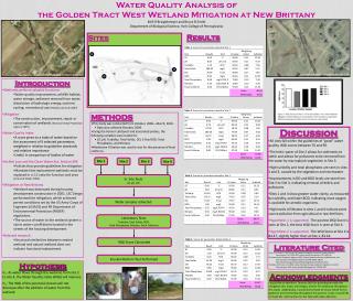 Water Quality Analysis of the Golden Tract West Wetland Mitigation at New Brittany