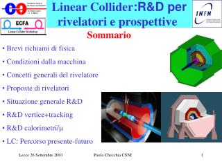 Linear Collider :R&amp;D per rivelatori e prospettive