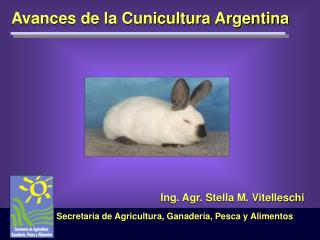 Avances de la Cunicultura Argentina