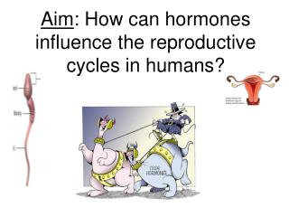 Aim : How can hormones influence the reproductive cycles in humans?