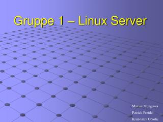 Gruppe 1 – Linux Server