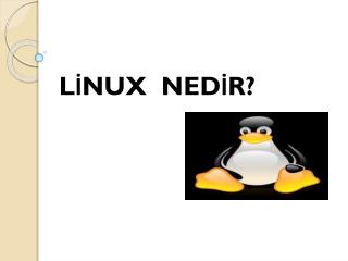 LİNUX NEDİR?