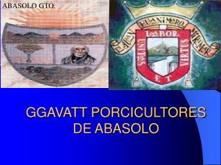 GGAVATT PORCICULTORES DE ABASOLO