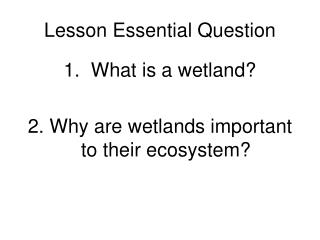 Lesson Essential Question