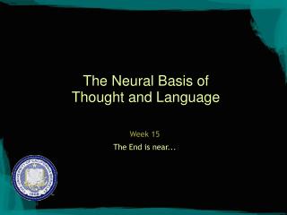 The Neural Basis of Thought and Language