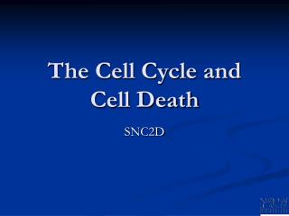 The Cell Cycle and Cell Death