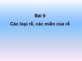 Bài 9 Các loại rễ, các miền của rễ