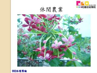 休閒農業