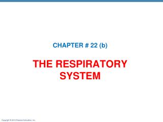 THE RESPIRATORY SYSTEM