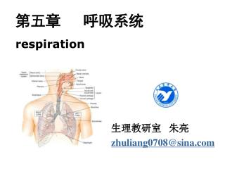 第五章 呼吸系统 respiration