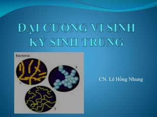 Đ ẠI CƯƠNG VI SINH KÝ SINH TRÙNG