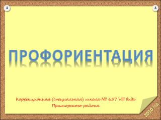 Коррекционная (специальная) школа № 657 VIII вида Приморского района