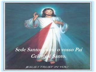 Sede Santos como o vosso Pai Celeste é Santo.