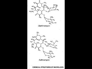 NEWER MACROLIDES