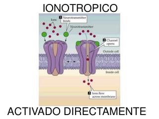 IONOTROPICO