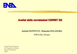Antonio MATTUCCI - Domenico PALAMARA ENEA Dip. Energia