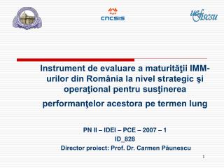 PN II – IDEI – PCE – 2007 – 1 ID_828 Director proiect: Prof. Dr. Carmen Păunescu