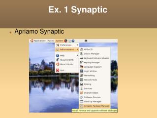 Ex. 1 Synaptic