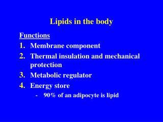 Lipids in the body