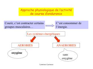 Approche physiologique de l’activité de course d’endurance